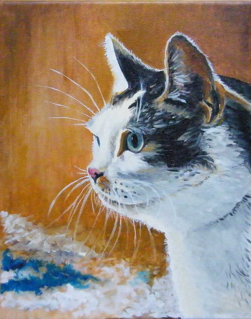 Moje obrazy olejne - portrety kotów i psów