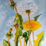 akwarela kwiaty - małgorzata jaskłowska