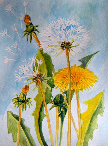 akwarela kwiaty - małgorzata jaskłowska