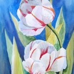 akwarela kwiaty tulipany - małgorzata Jaskłowska