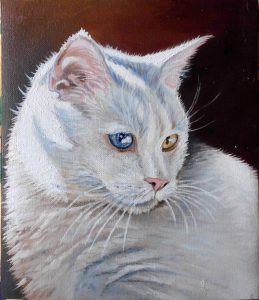 kot obraz olejny małgorzata Jaskłowska
