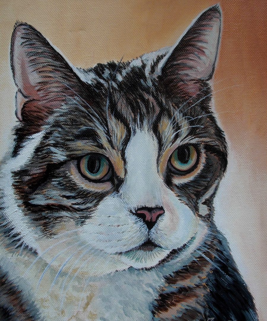 Nowe portrety kotów i psów
